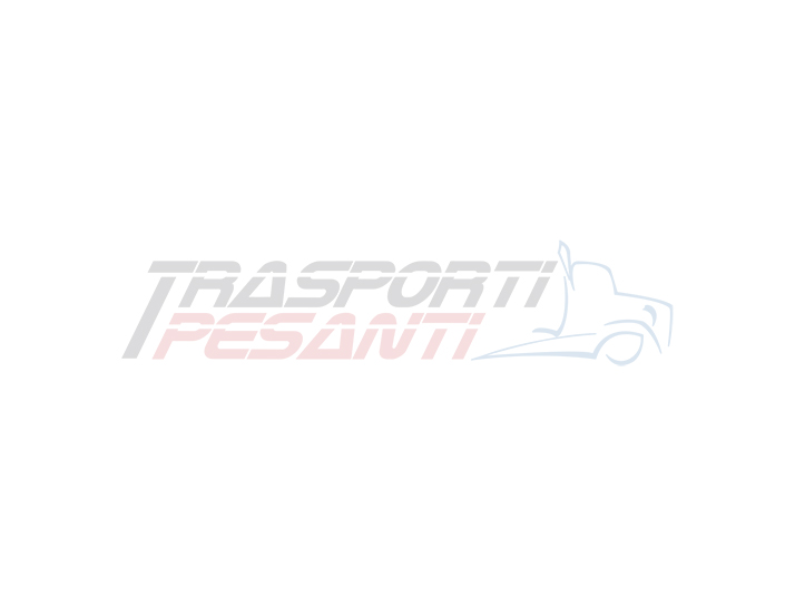 TRASPORTI PESANTI PROTAGONIST AT THE “TRANSPORT LOGISTIC 2019”